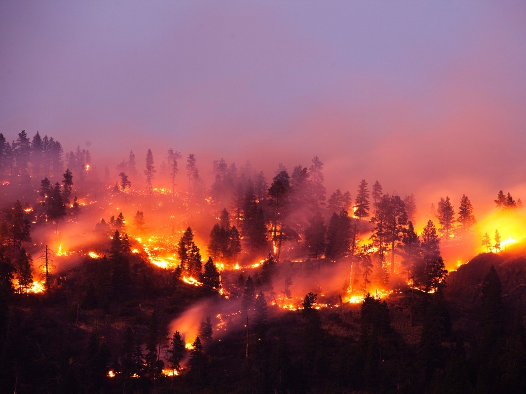 wildfire